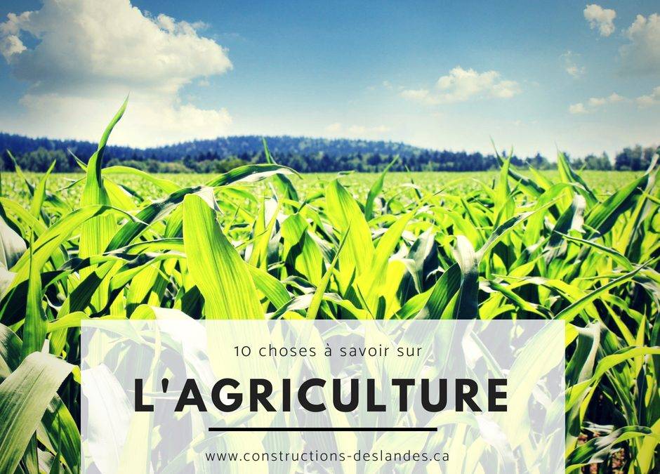 10 choses à savoir sur l’agriculture