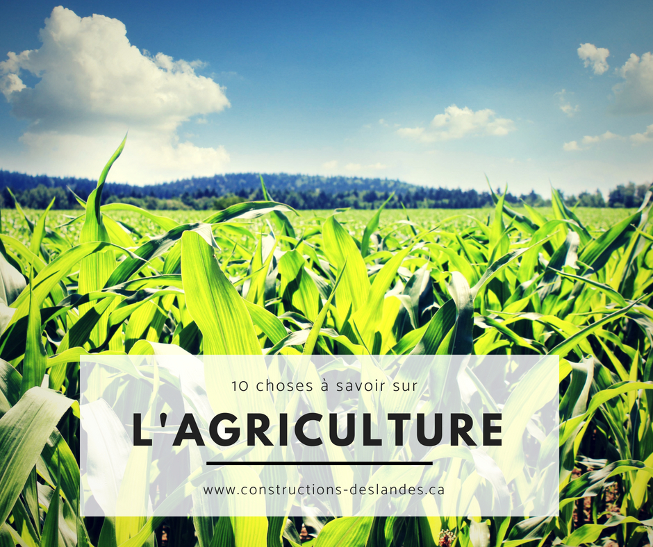 10 choses à savoir sur l'Agriculture